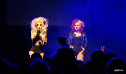 The 2015 Condragulations Tour stop-over in Reykjavik