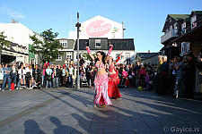 Reykjavik Culture night 2006