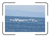 IMG_7366 * 3456 x 2304 * (1.48MB)