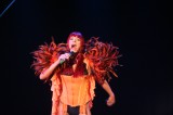 IMG_9534 * 3456 x 2304